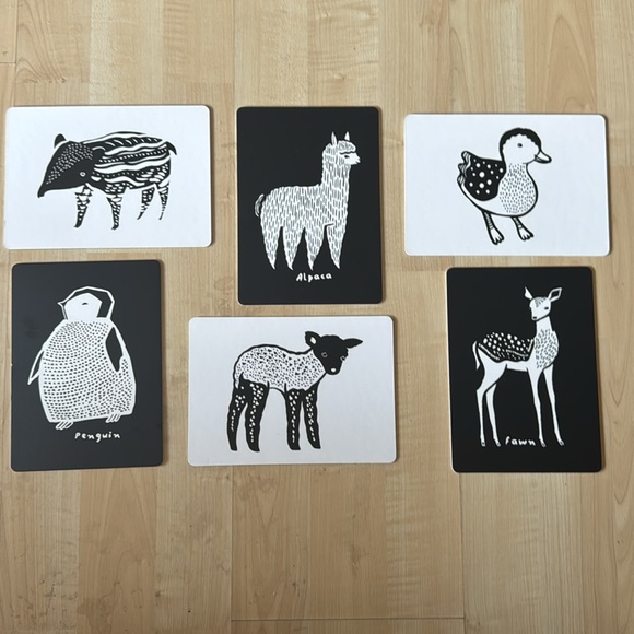 6 Art Cards for Baby Animal Collection | Contrast Cards | Developmental EUC - Picture 9 of 9